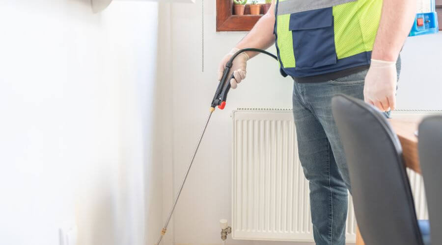 Professional pest control services in Walla Walla